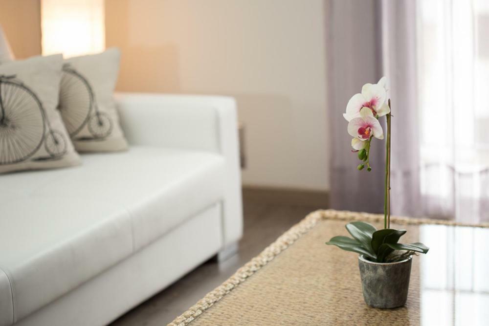 Apartamentos Dacris Jerte Exteriér fotografie